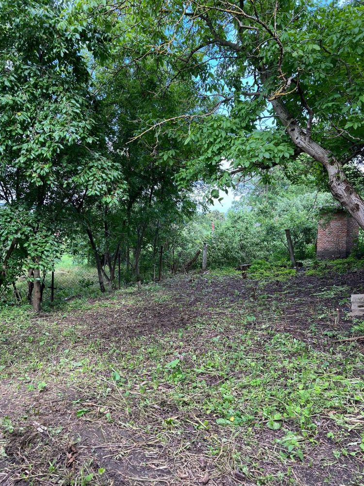 Продаж землі з дачним будинком біля Меджибожа