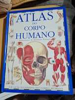 Atlas do corpo humano conheça o seu corpo por dentro