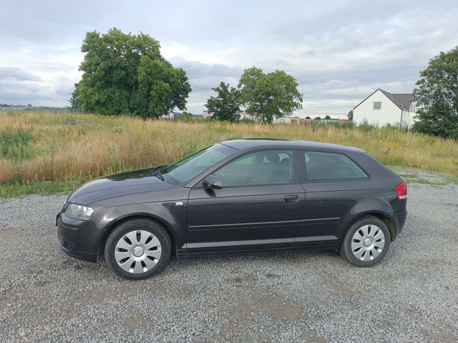 Audi A3 8P 2006 1.9 TDI