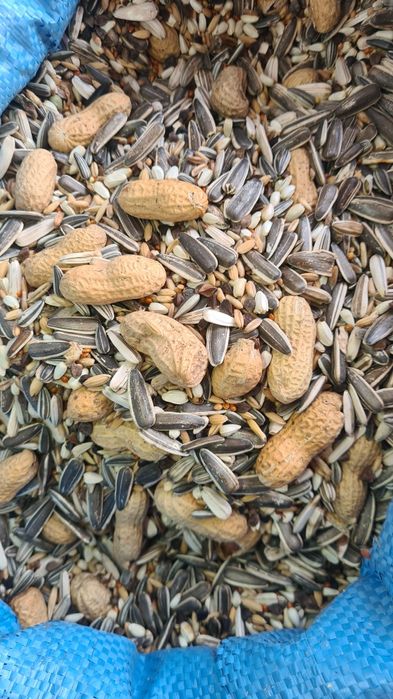 Mieszanka dla papug dużych (bez pszenicy, sorga)