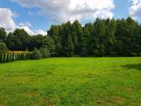 Działka budowlano - rolna Michałowice