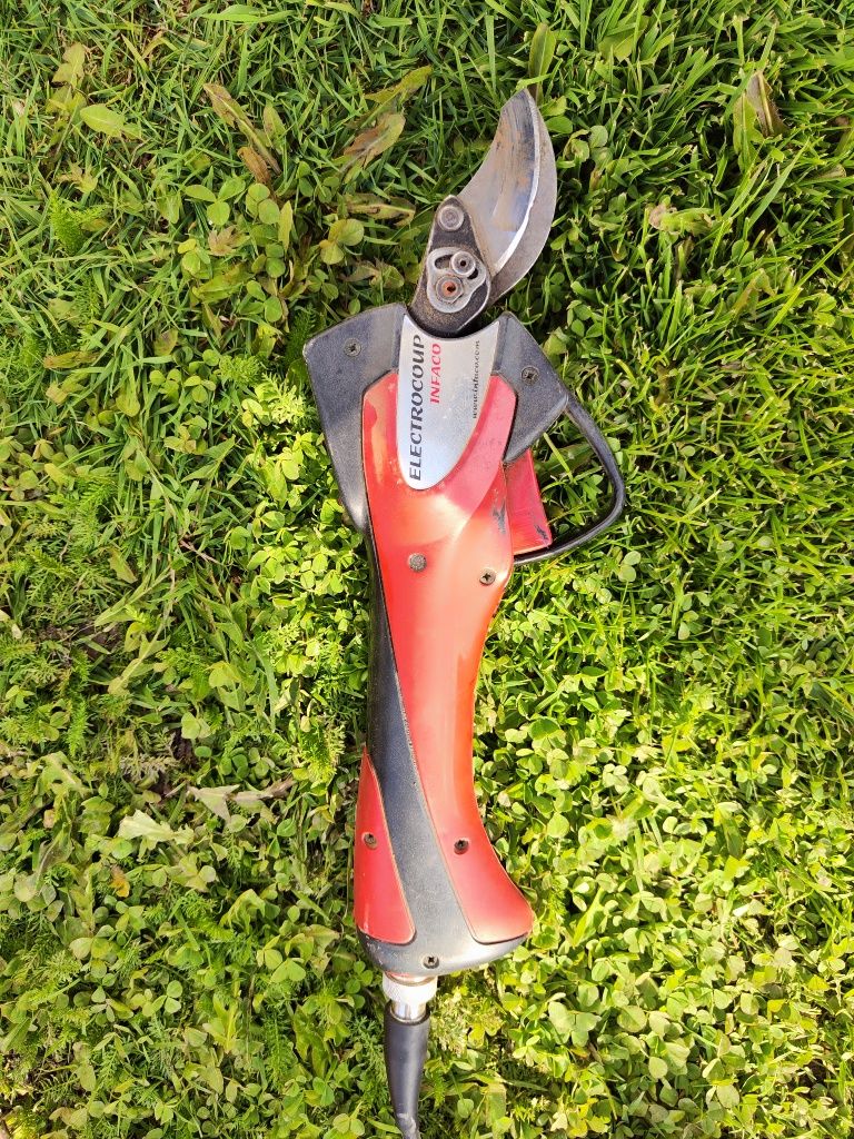 Sprzedam sekator