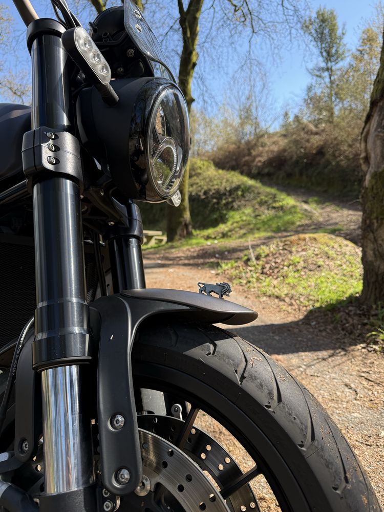 Benelli Leoncino 500