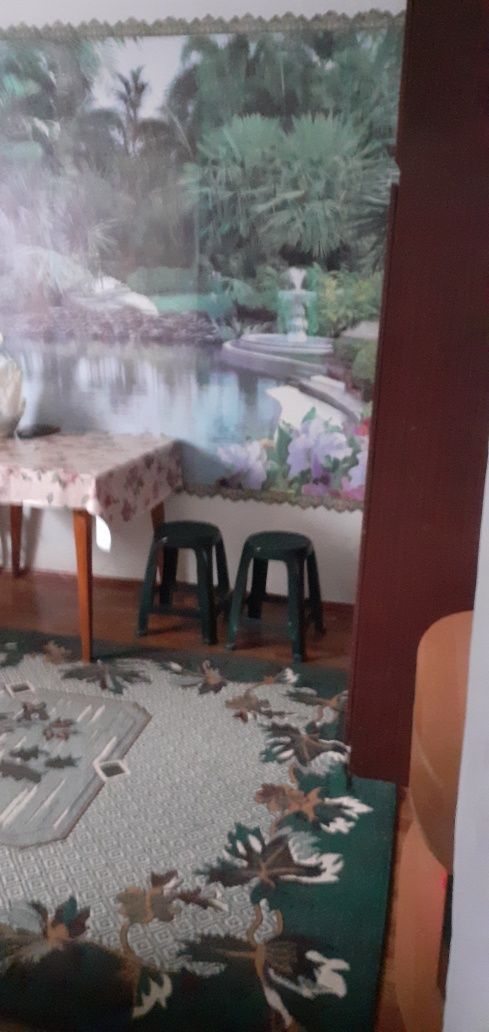 Здається житло(ліжко місця)