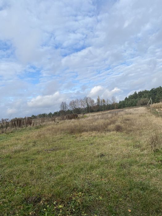 Продам будинок в селі Радошівка