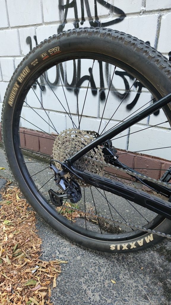 Trek Procaliber 6 2024 L