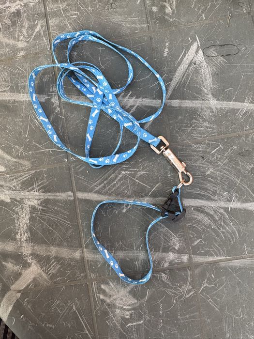 Trela para cães de tamanho pequeno