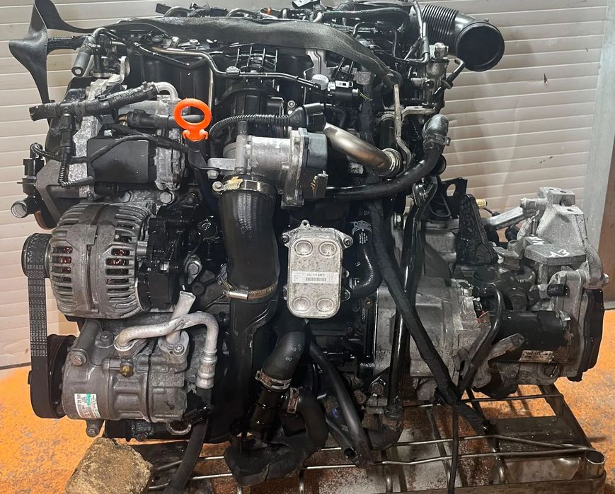 Motor Audi A3 1.6 Tdi Ref: CAY