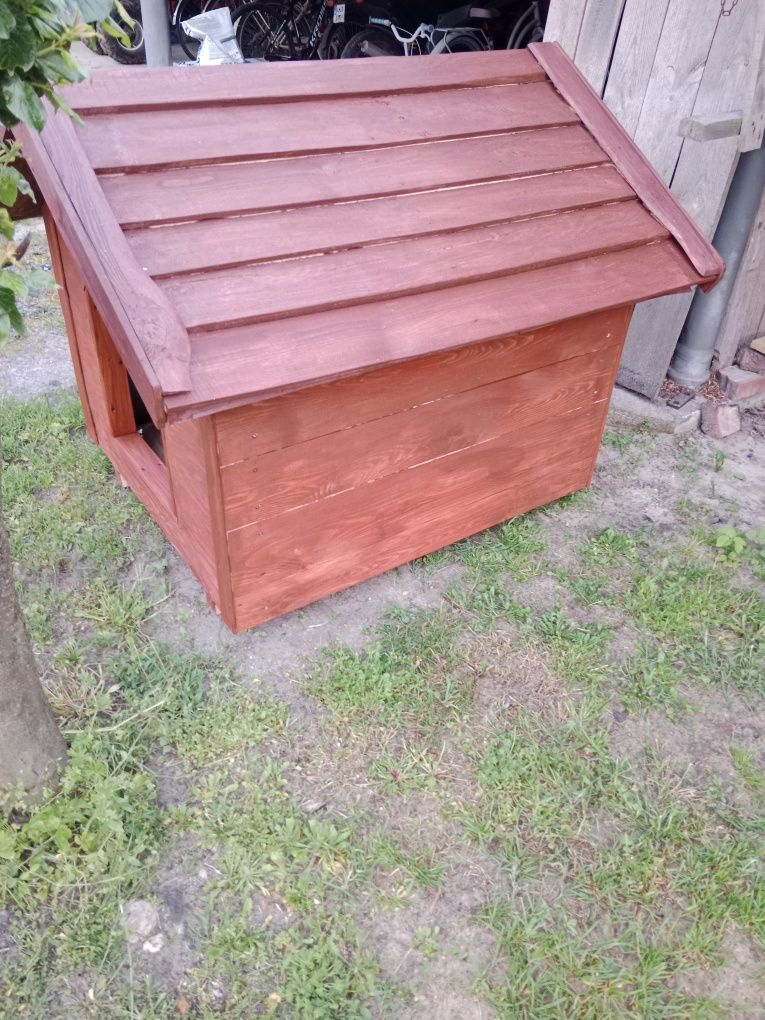 Buda dla dużego psa