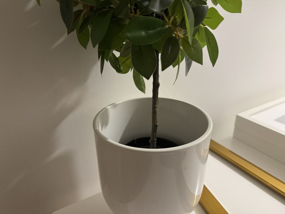 2 Vasos com plantas IKEA