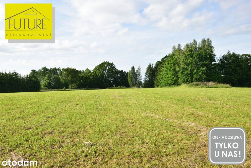 Pięknie położona działka 7483 m2 w Księżnie