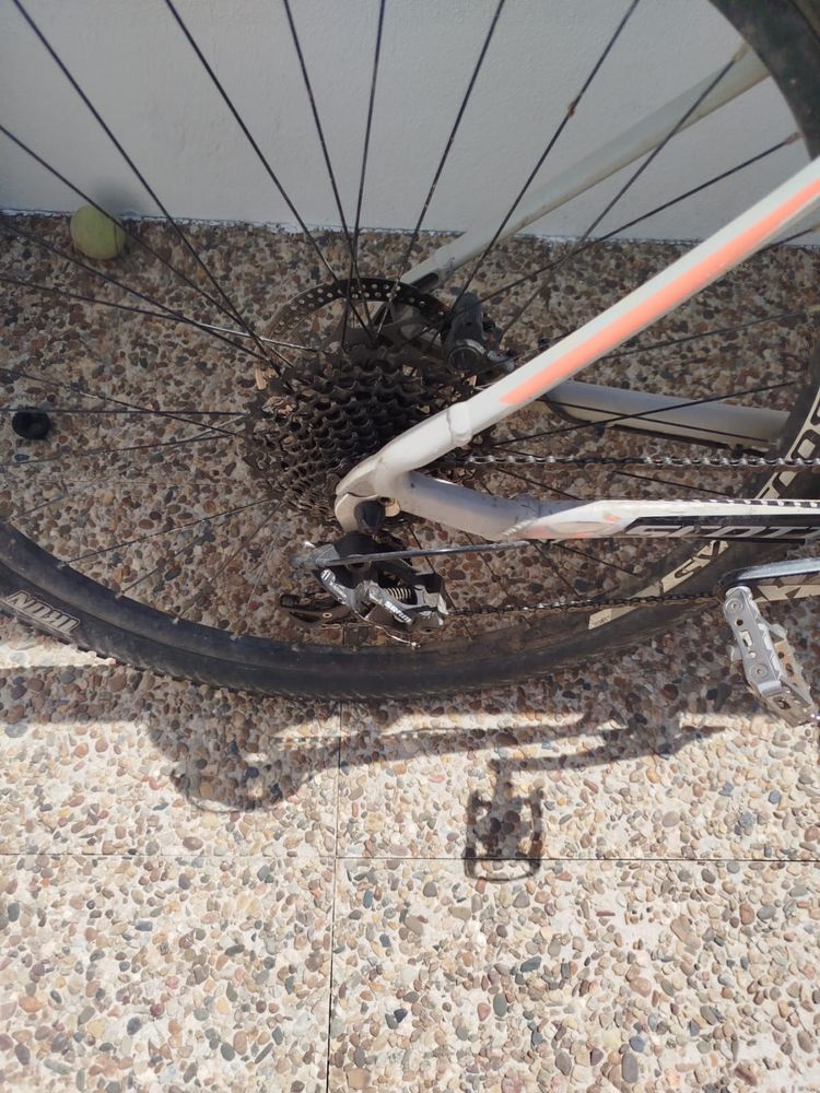 Bicicleta Scott scale