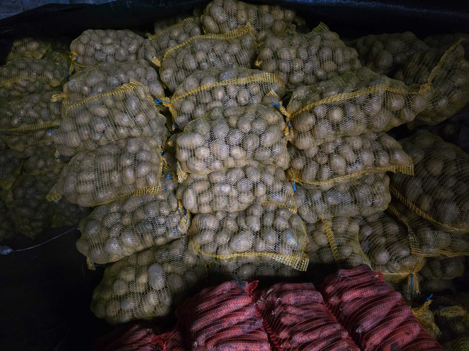 Ziemniaki i marchew ilosci hurtowe i detal