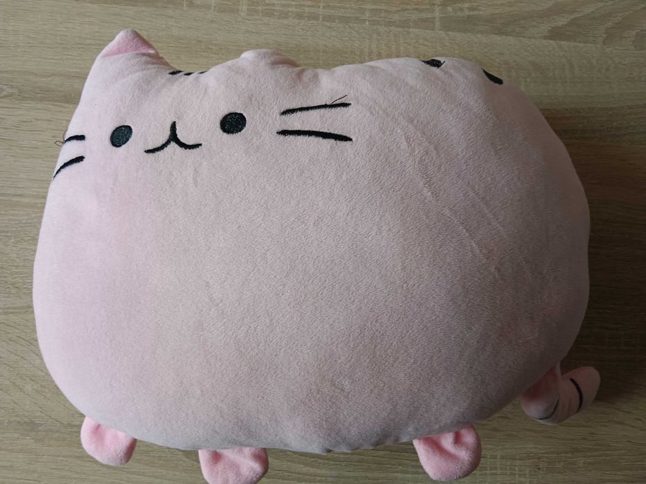 Maskotka Pusheen. Kotek.