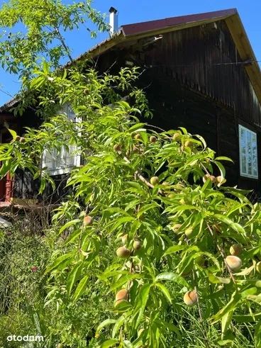 Domek letniskowy Rogów Opatowiec Świętokrzyskie godzina od Krakowa