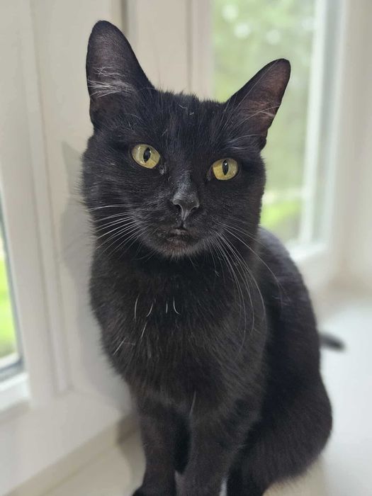 Chryzia z Fundacji Miasto Kotów