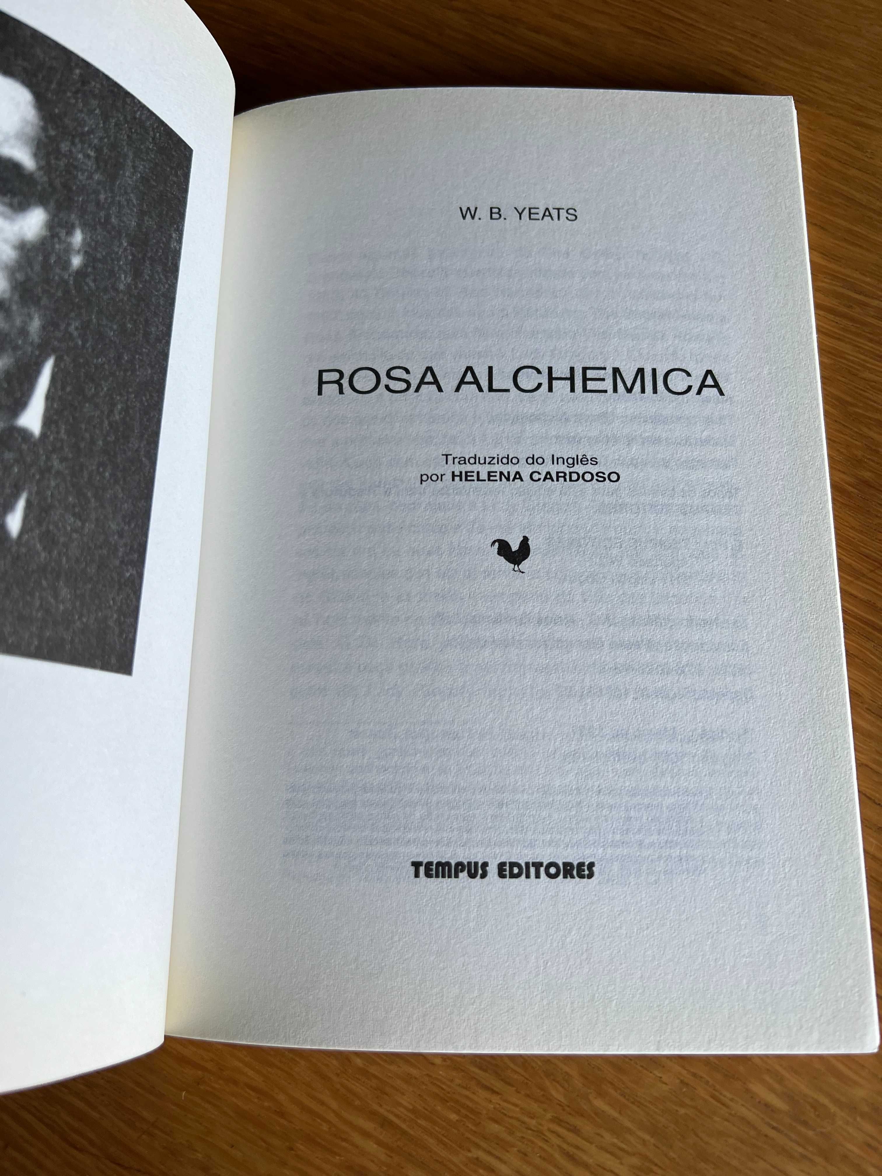 ROSA ALCHEMICA      William Butler Yeats