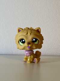 LPS #1157 chow chow
