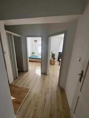 Mieszkanie do wynajęcia