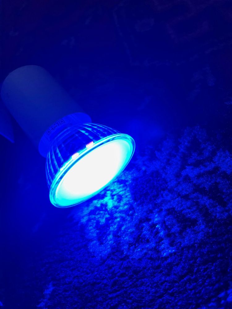 6 halogenów Ledvance GU10 Smart+ RGBW HUE ZIGBEE