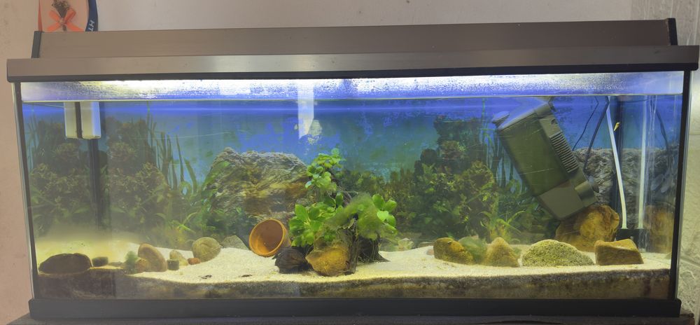 Aquário 120L + Móvel