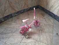 Bicicleta com rodinhas menina