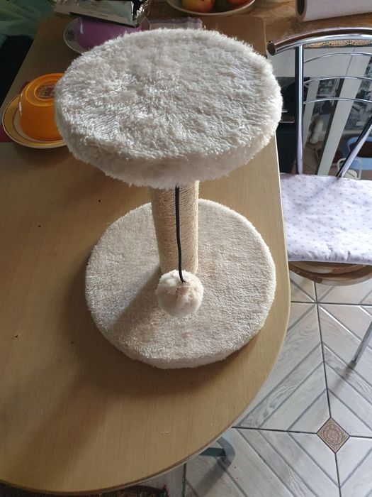 Когтеточка для кота,новая.