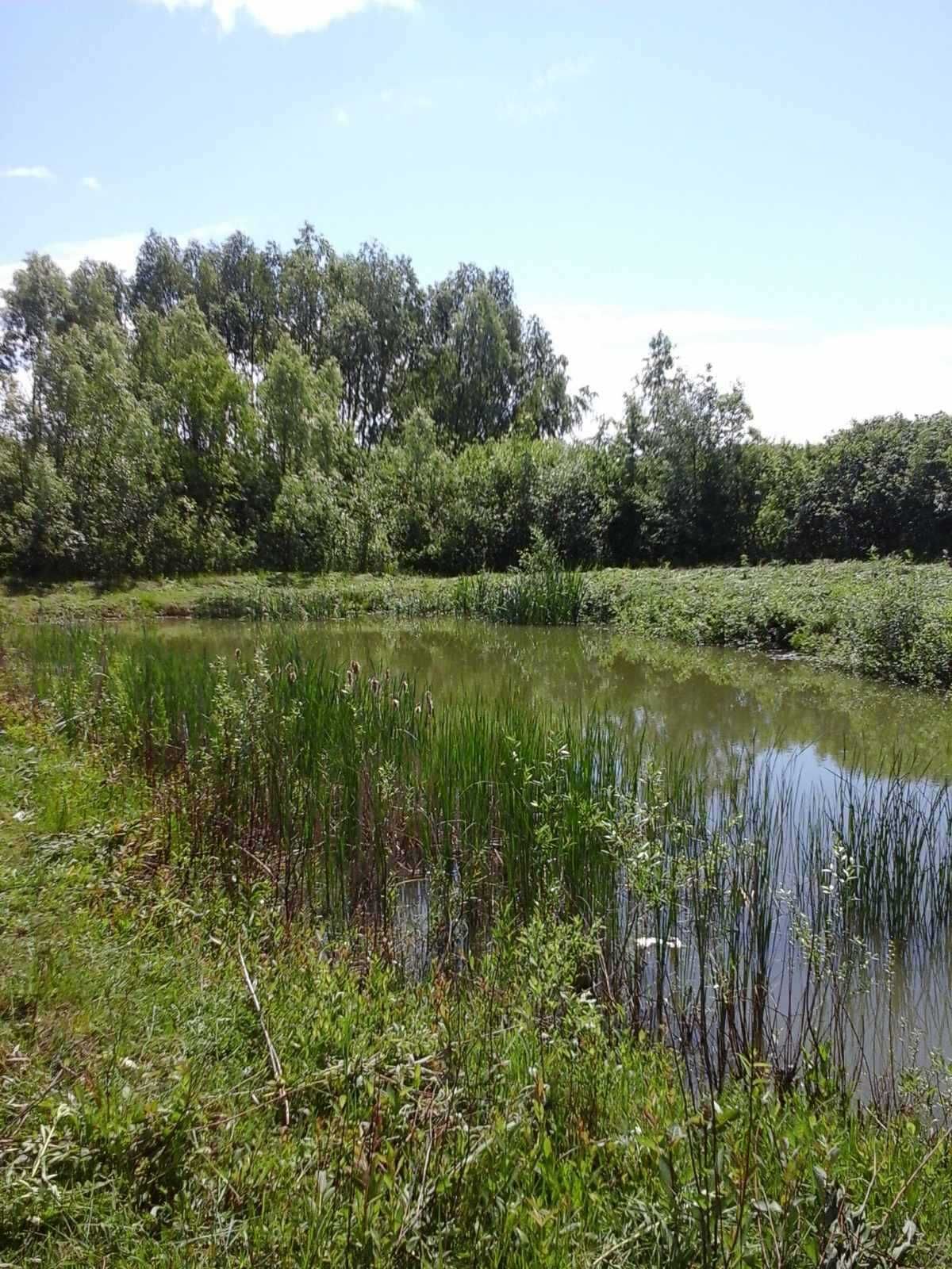 Земельна ділянка с. Займище (Бориспільський р-н) 10.6 сотки