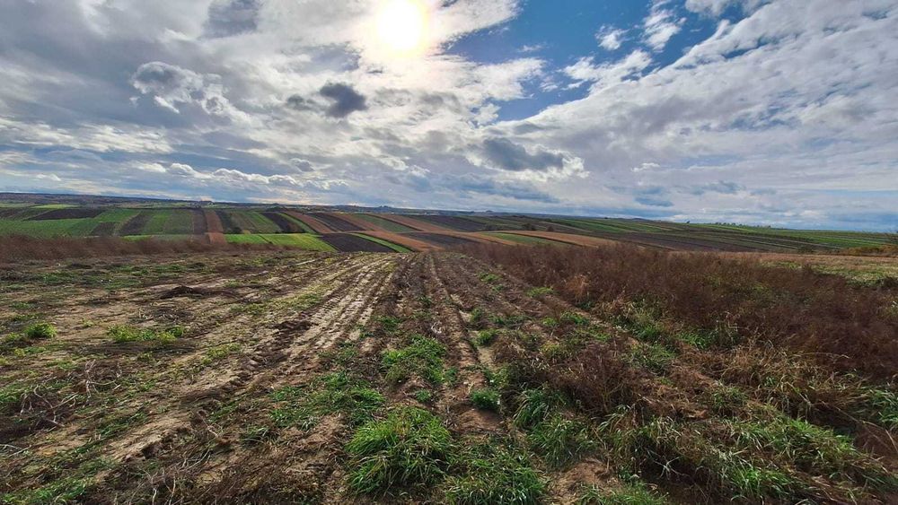 Sprzedam dom - nieruchomość