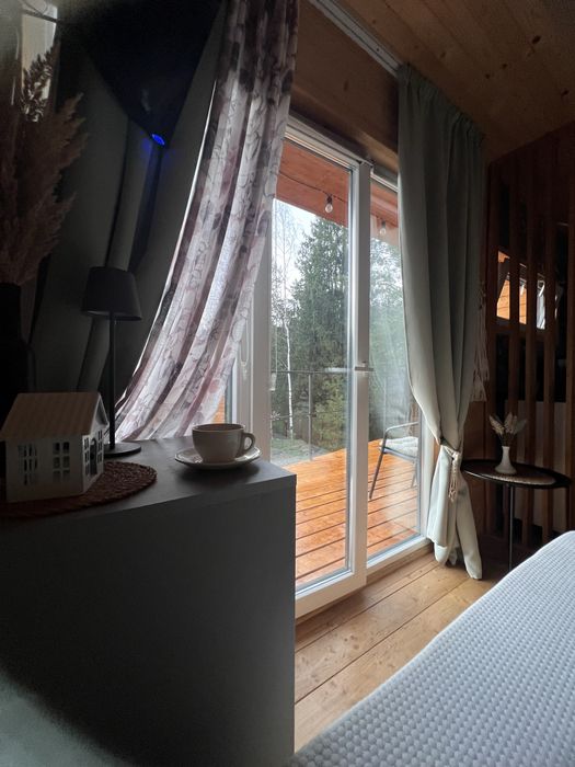 Оренда модульного будинку в Карпатах