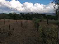 Quinta em Galizes
