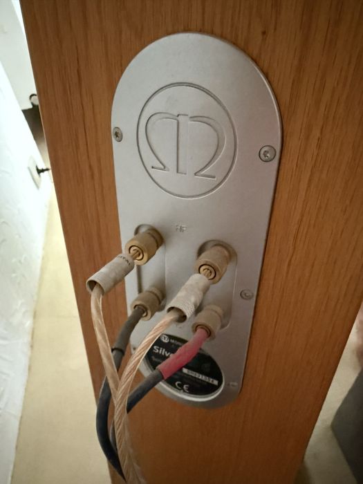 Kolumny głośnikowe Monitor Audio RS 6 Bydgoszcz