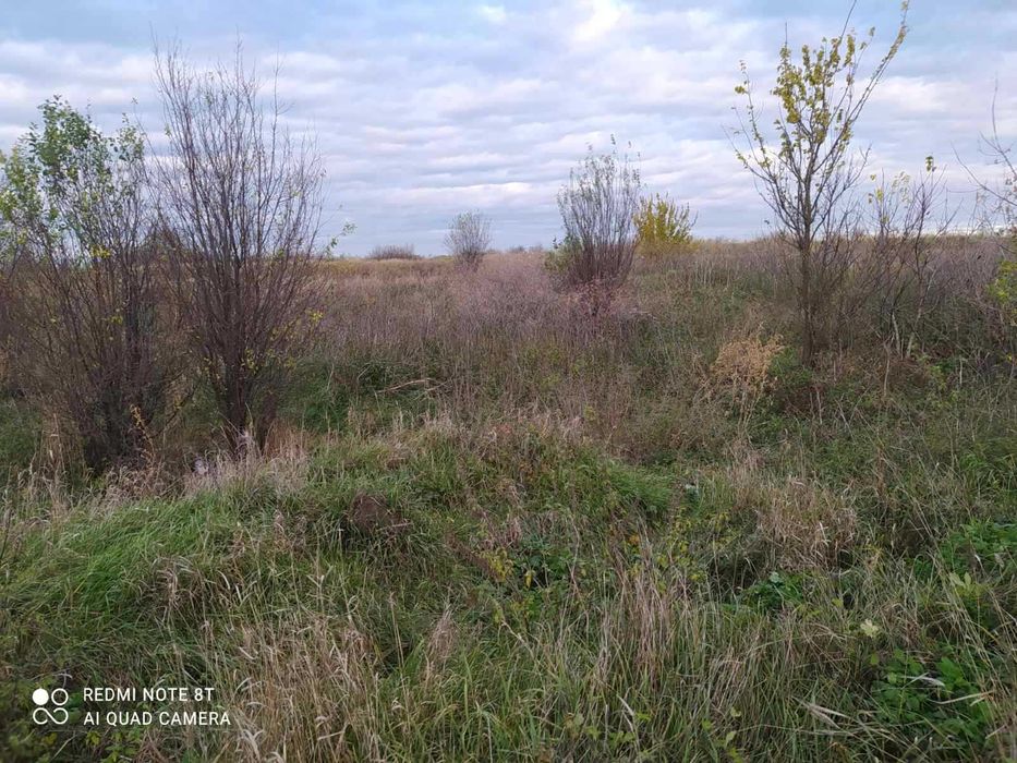 оренда землі  промисловість 28,15 га , Стара Синява, Хмельницька обл.