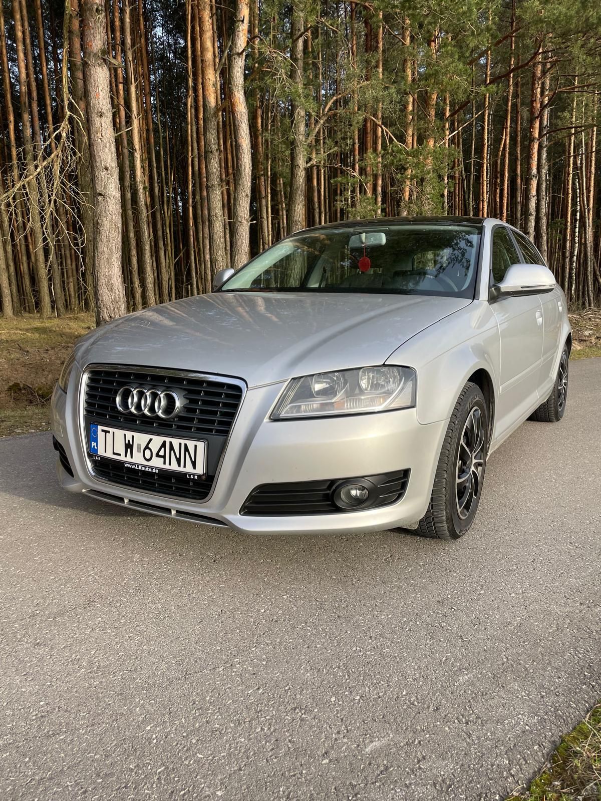 Audi A3 8P 1.9 TDI 105 km