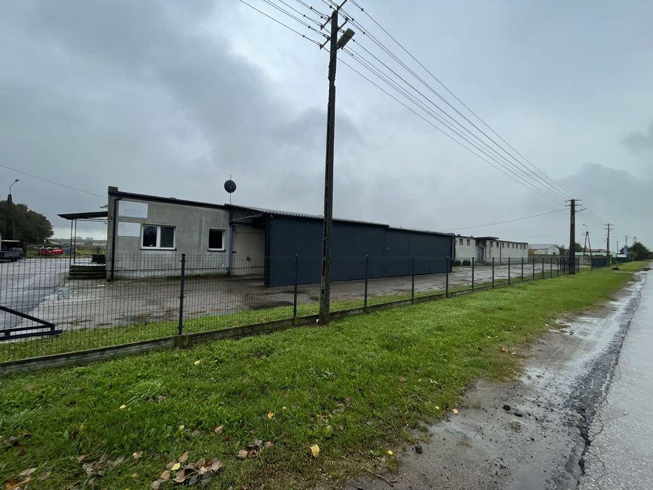 Do wynajęcia budynek inwentarski 1350 m2 - chlewnia /magazyn/ hala
