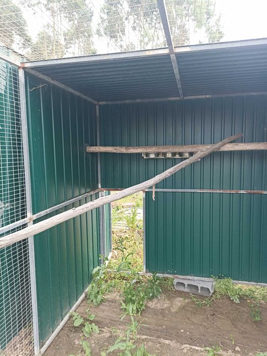 Gaiola com 4mt x 2mt x2mt  pássaros de bico curvo ou outros animais