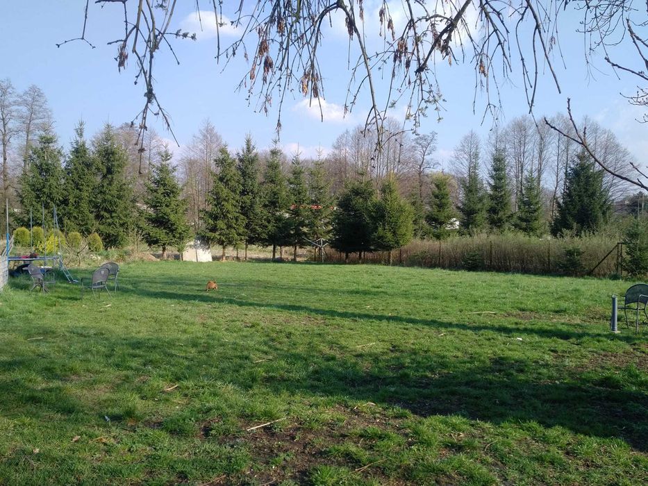 Działka rolno-budowlana (zagrodowa) Gozdnica ze stawem