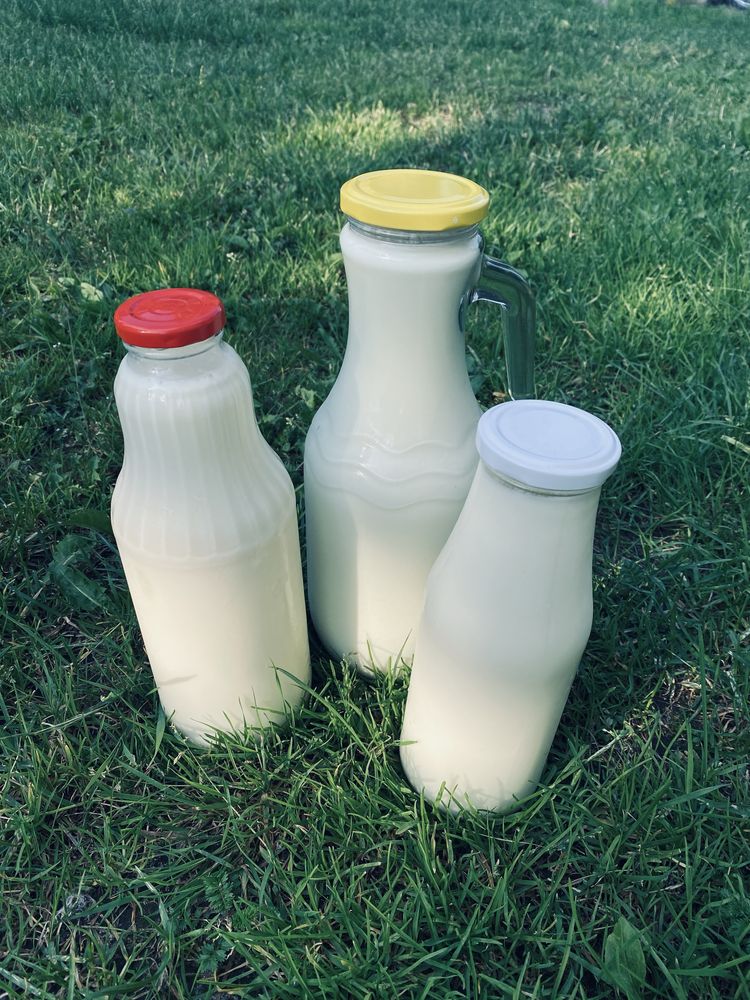 Mleko prosto od krowy szklane butelki  0,7 l 1 l 1,5 l