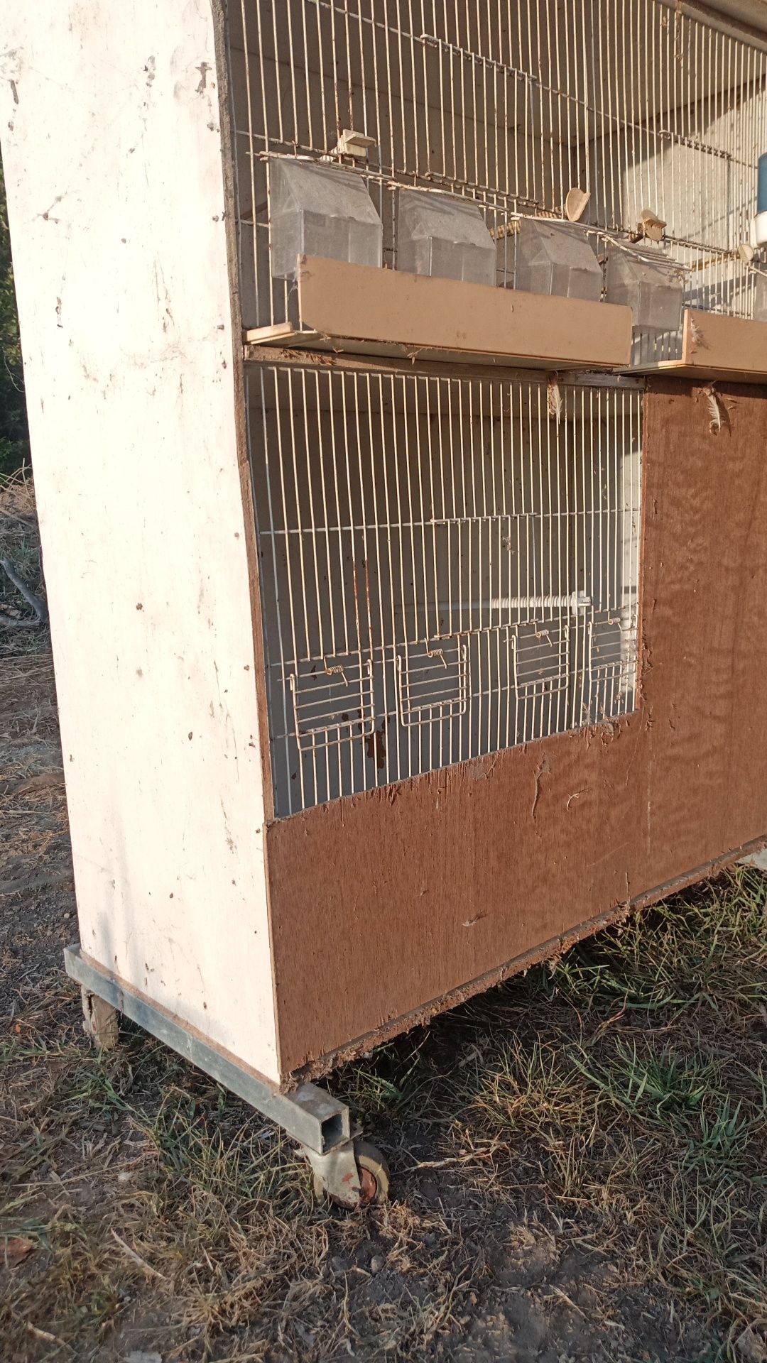 Viveiros, Gaiolas para aves, canários.