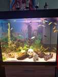 Akwarium Juwel 200l