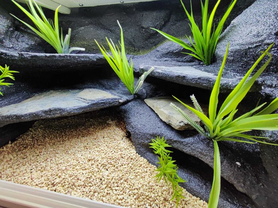 Terrarium pustynne nr687 60/40/40 dla gekona lamparciego DOSTĘPNE