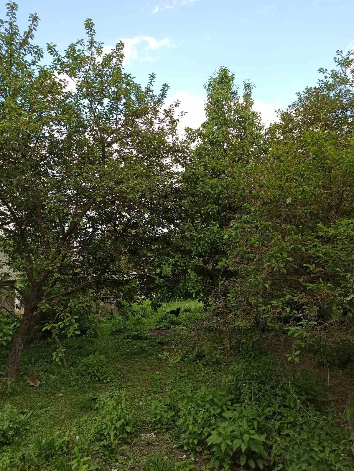 Продам хату в Дубрівці з землею приватизованою