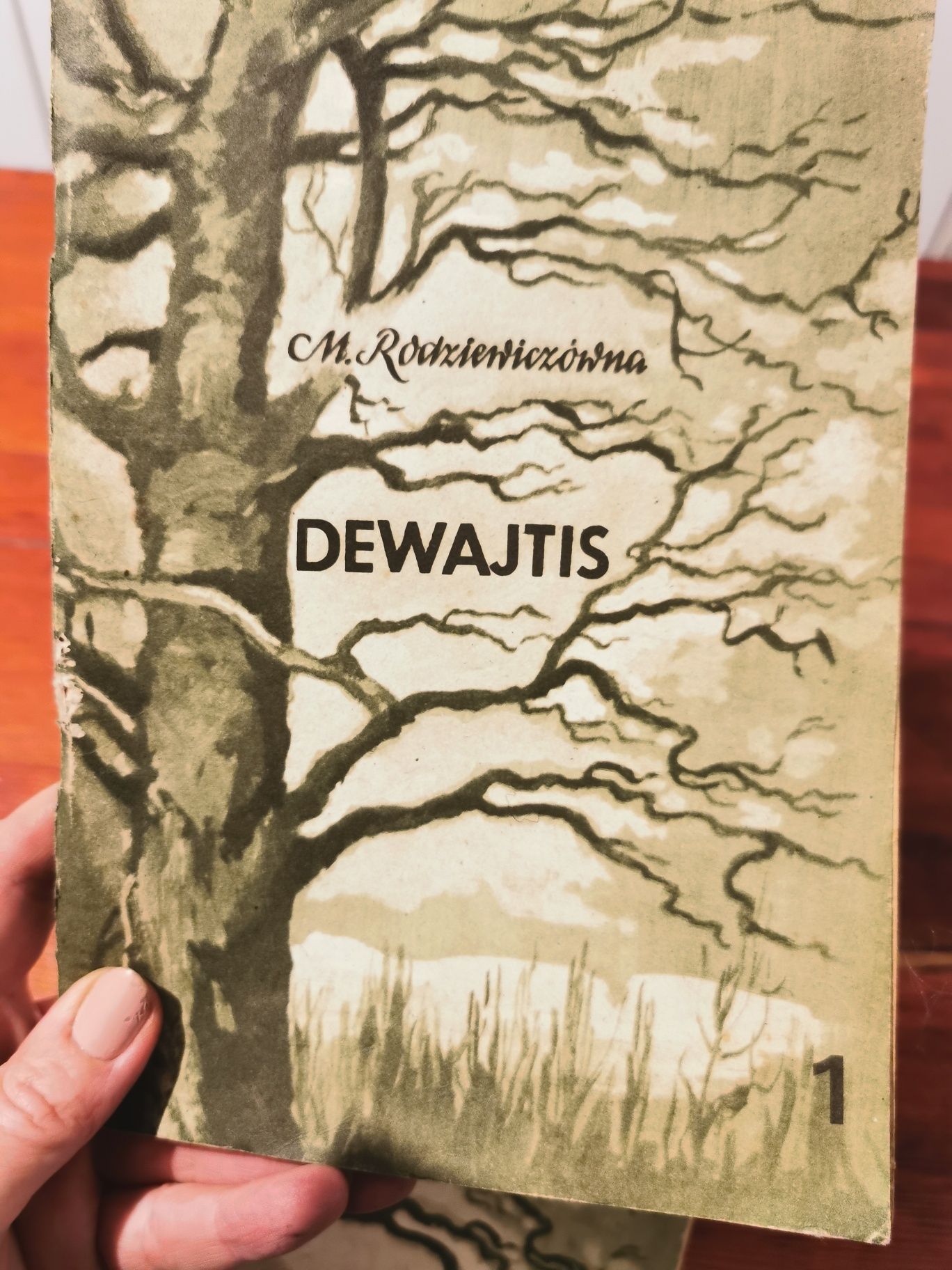 Dewajtis M.Rodziewiczówna 2 cz
