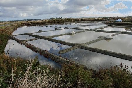 1kg CELTIC SALT GUÉRANDE naturalna sól celtycka szara gruboziarnista