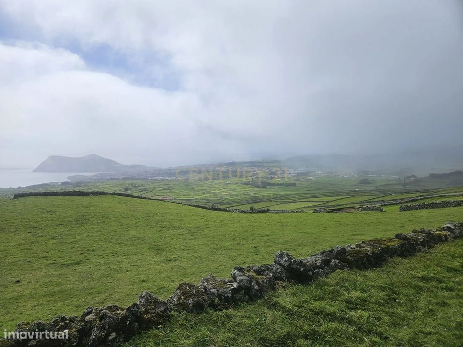 Excelente terreno rústico com 9680m2 na zona da Serra em Ribeirinha.