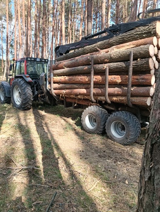 Usługi leśne ścinka drzew czyszczenie działek kupno lasu na pniu