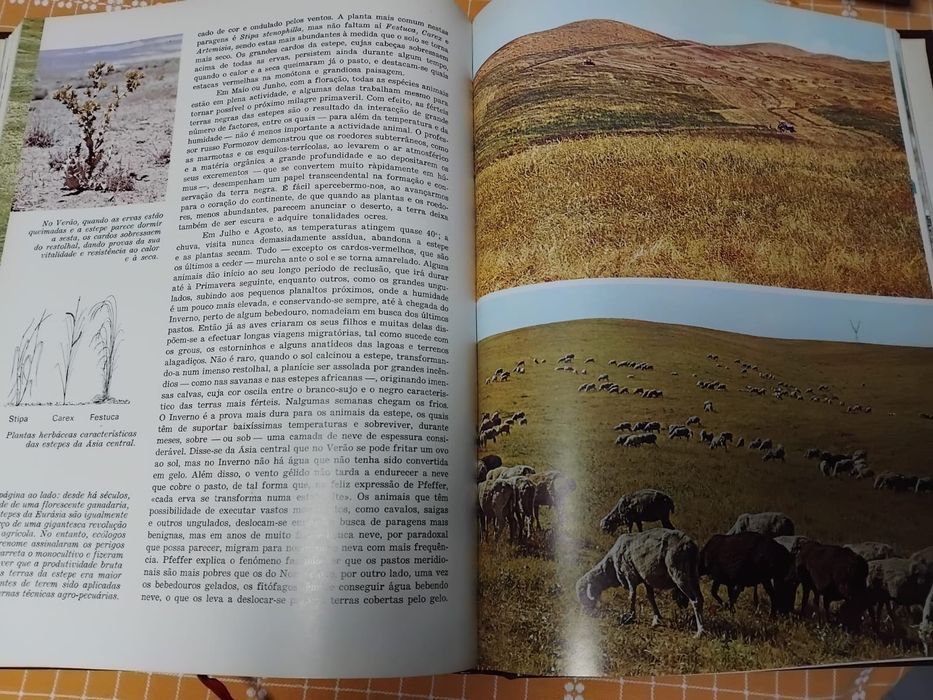 Enciclopédia A Fauna