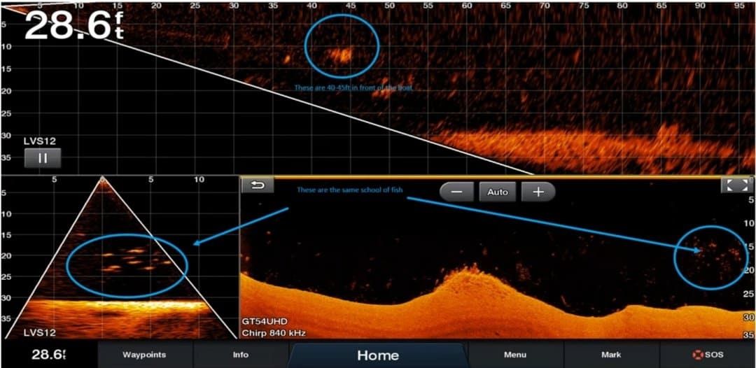 Panoptix Livescope LVS12