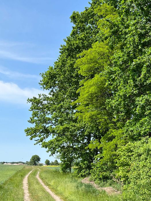 Coaching sesje ONLINE