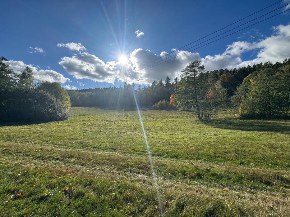 Działka budowlana Jemna 45 arów